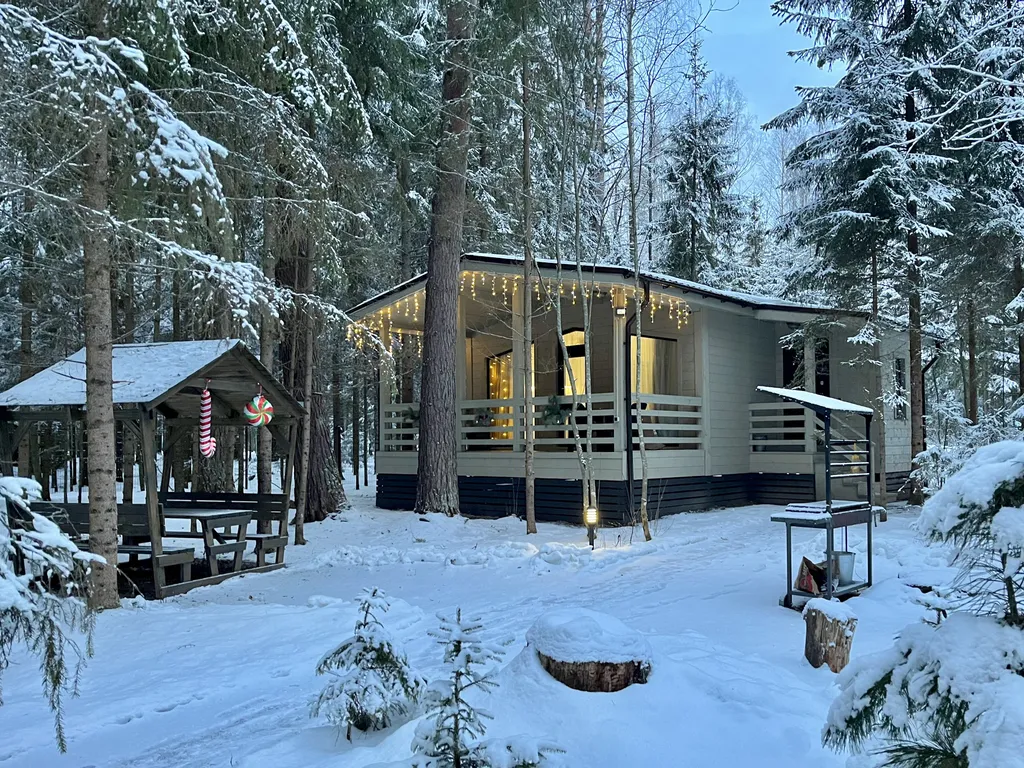 Коттедж Дизайнерский коттедж на берегу озера Волго на Селигере — Турбаза Чайка