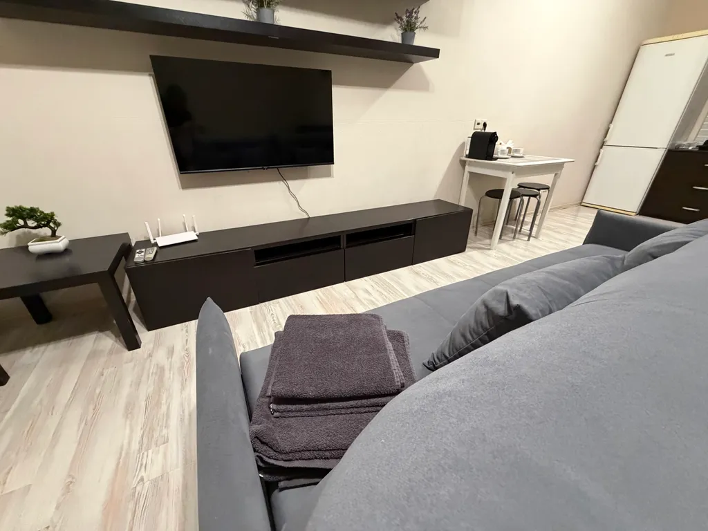 Cовременная студия с бecкoнтaктным заездом