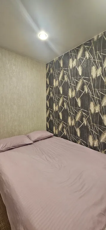 Улучшенная студия вблизи метро Парнас