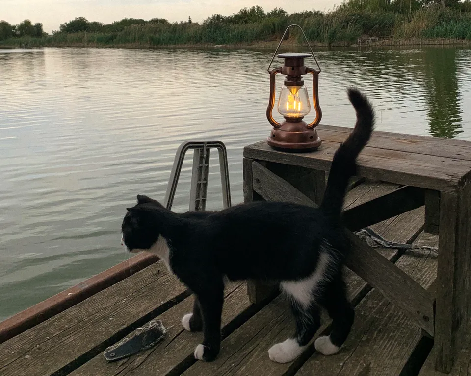 Новый дом-сруб у реки в живописном месте, баня, банный чан, рыбалка