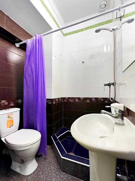 Домик на Толстого