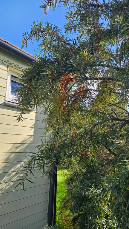 Уютный новый дом у моря