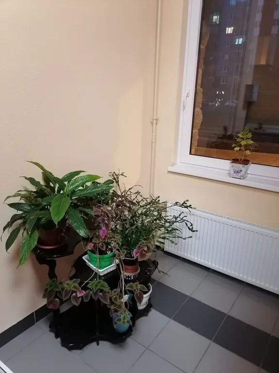 Квартира Квартира у Финского залива в новом доме — Санкт-Петербург