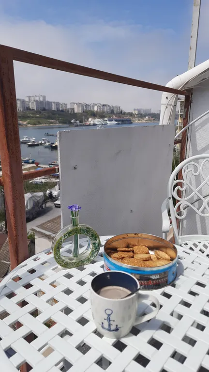 Студия на причале с видом на яхты  и чаек