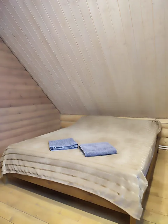 Уютный дом Шарика