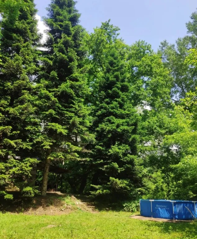 Коттедж Дом на берегу горной реки — Приреченский