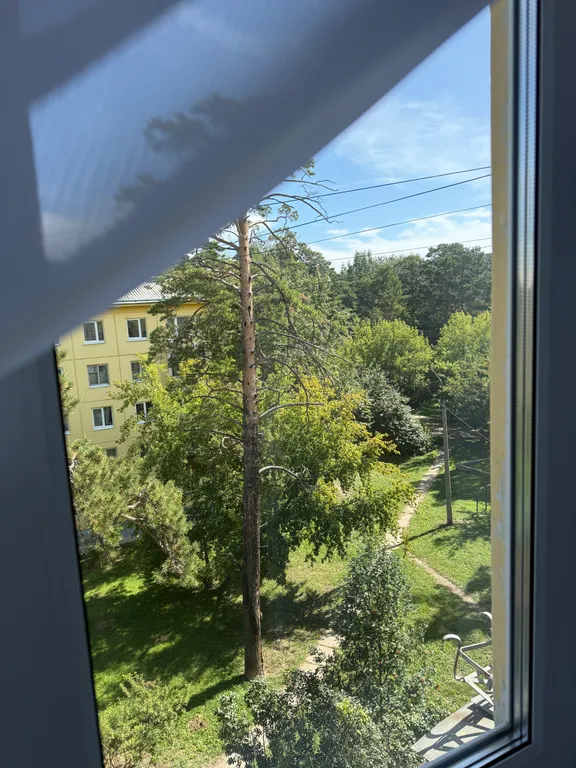 Снимите это немедленно!!!