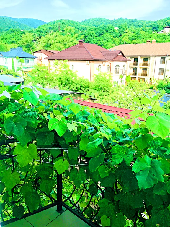 Квартира Комната — Лазаревское