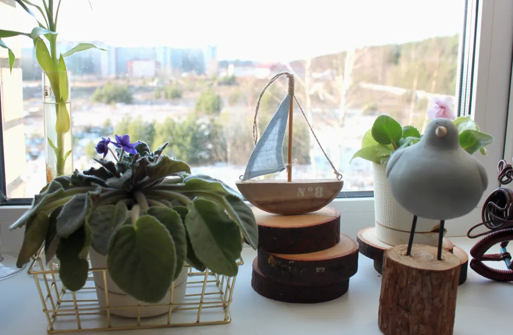 Квартира у леса