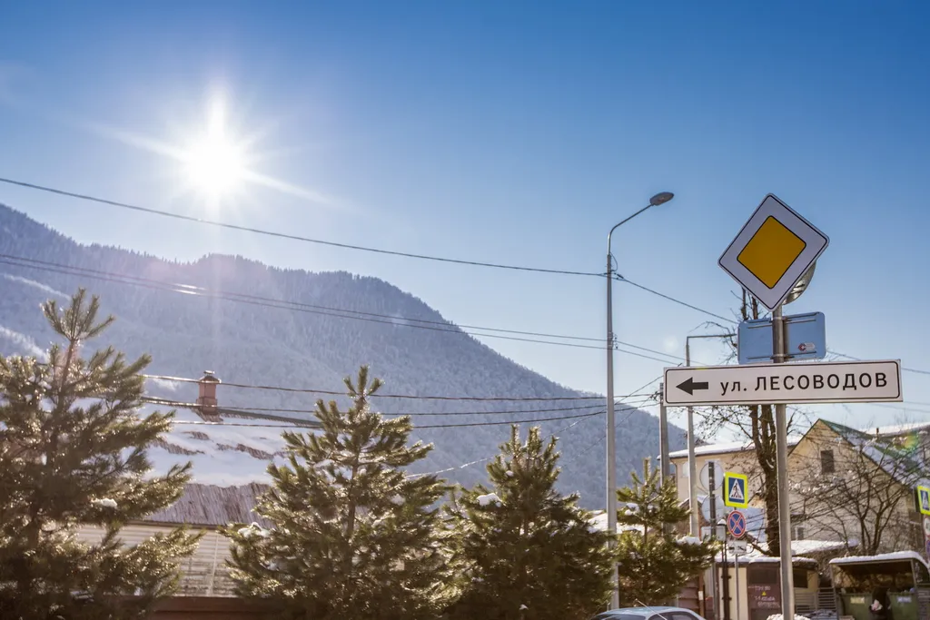 Поляна мечты