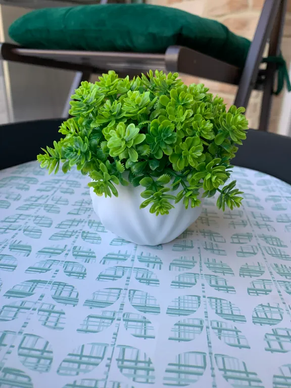 Квартира Уютные апартаменты вблизи моря — Светлогорск