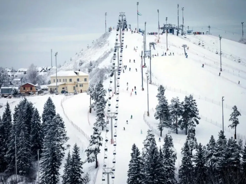 Уютная квартира у горнолыжного курорта Сорочаны