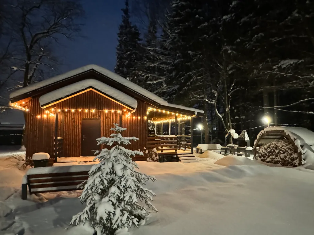 Домик у леса