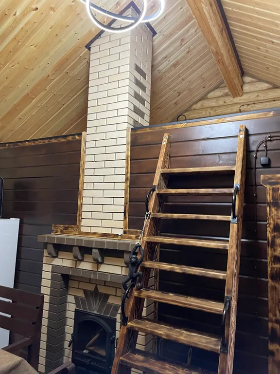 Дом-баня с бассейном и купелью