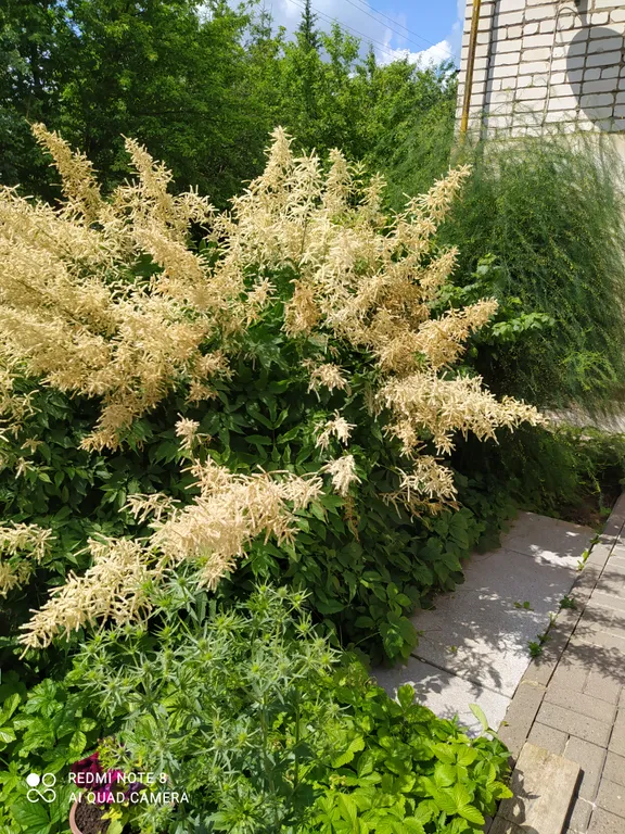 Уютная квартира рядом с монастырем, с отдельным входом  от соседей.