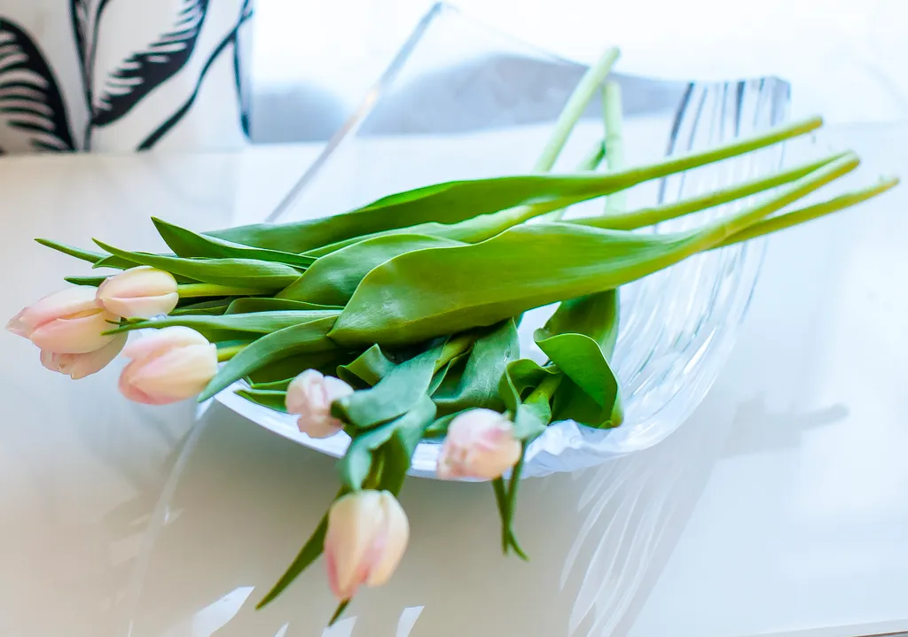 QuickStay 3BR Apartment