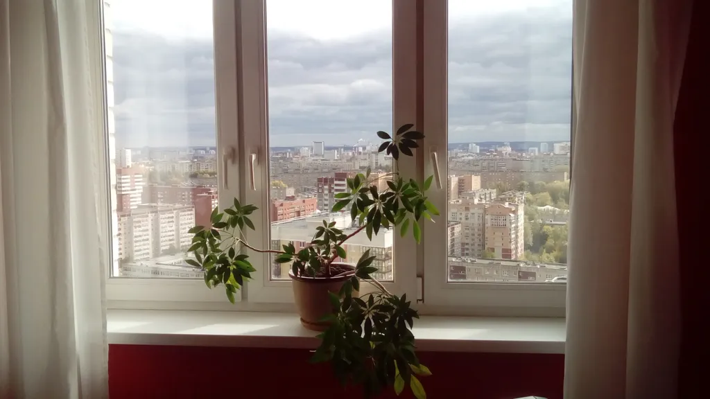 Квартира 1 комнатная квартира зебра — Екатеринбург