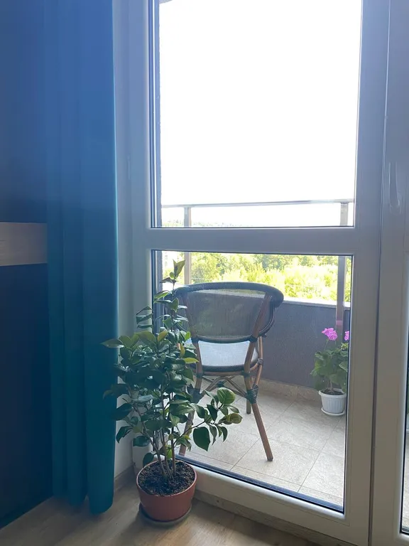 Уютная квартира с видом на лес в центре Светлогорска-2