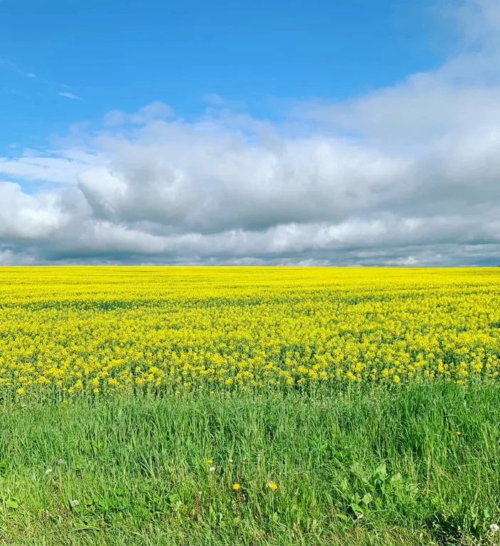 Дом с видом на реку Ока