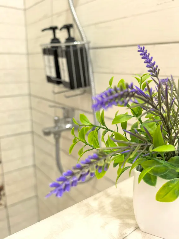 Апартамент Comfort eco lodge