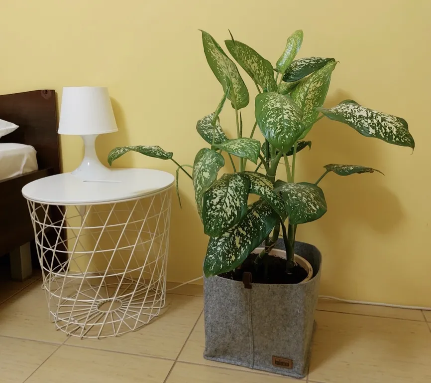 Солнечные апартаменты в спальном районе города