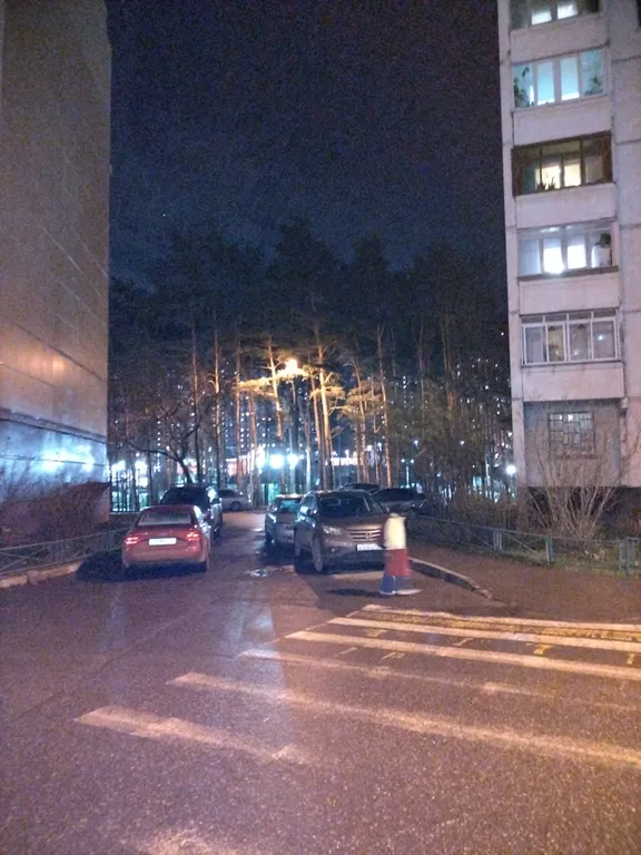 Просторная квартира в центральной части города, возле соснового парка