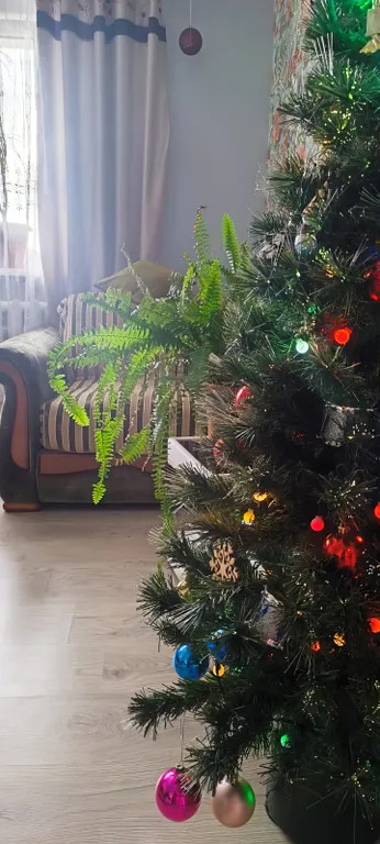 Уютная и теплая квартира в десяти минутах от моря