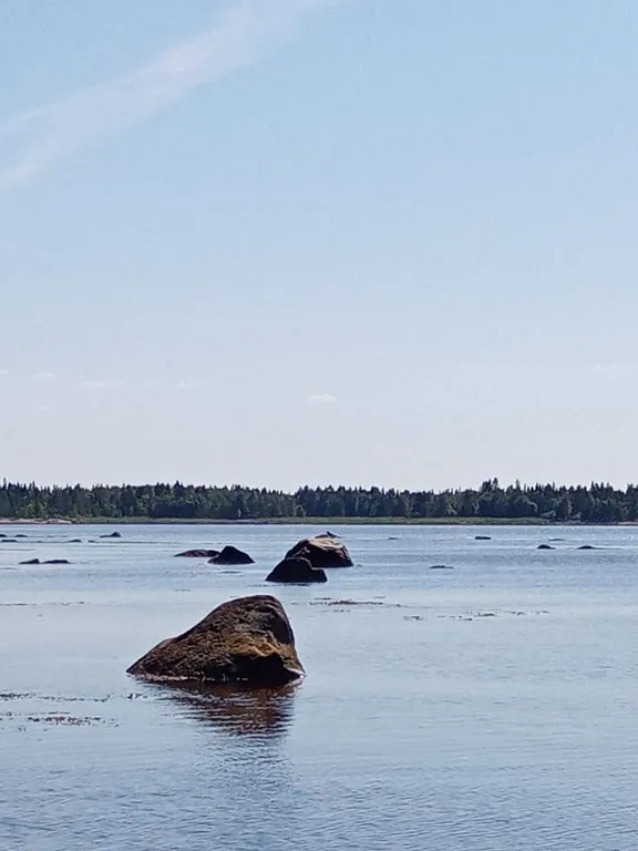 Отдых на Белом море