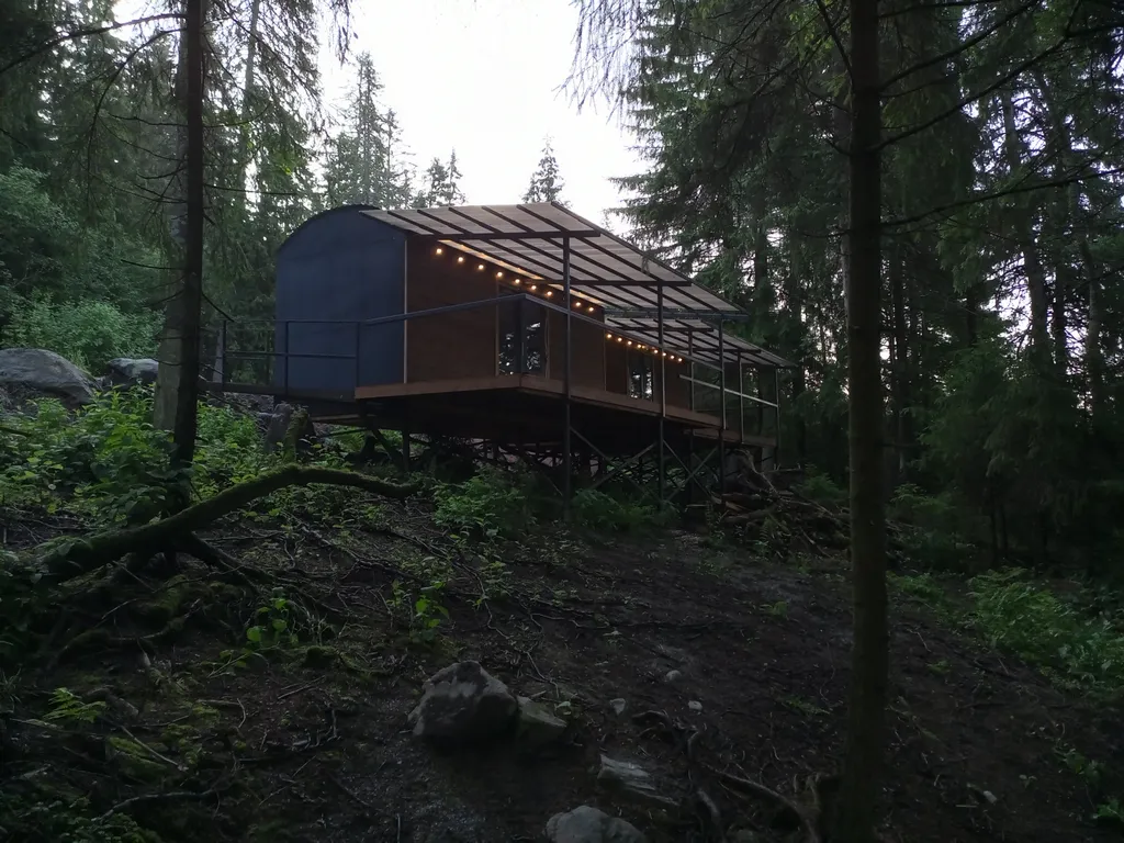 Новые домики среди векового леса на берегу Ладоги