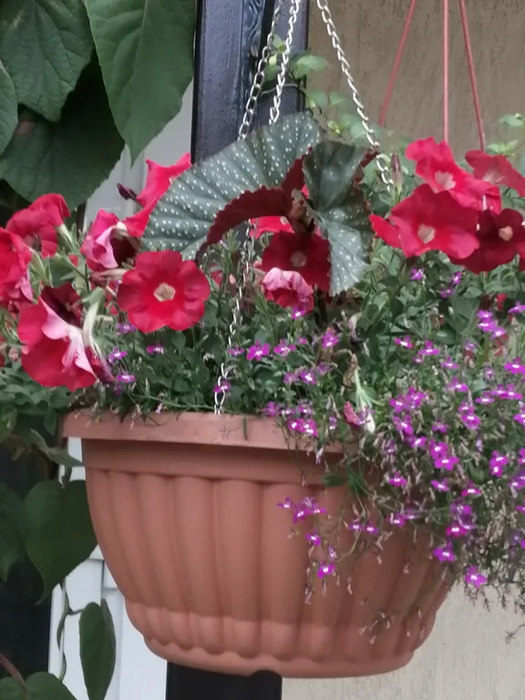 Номер с террасой и с видом на море