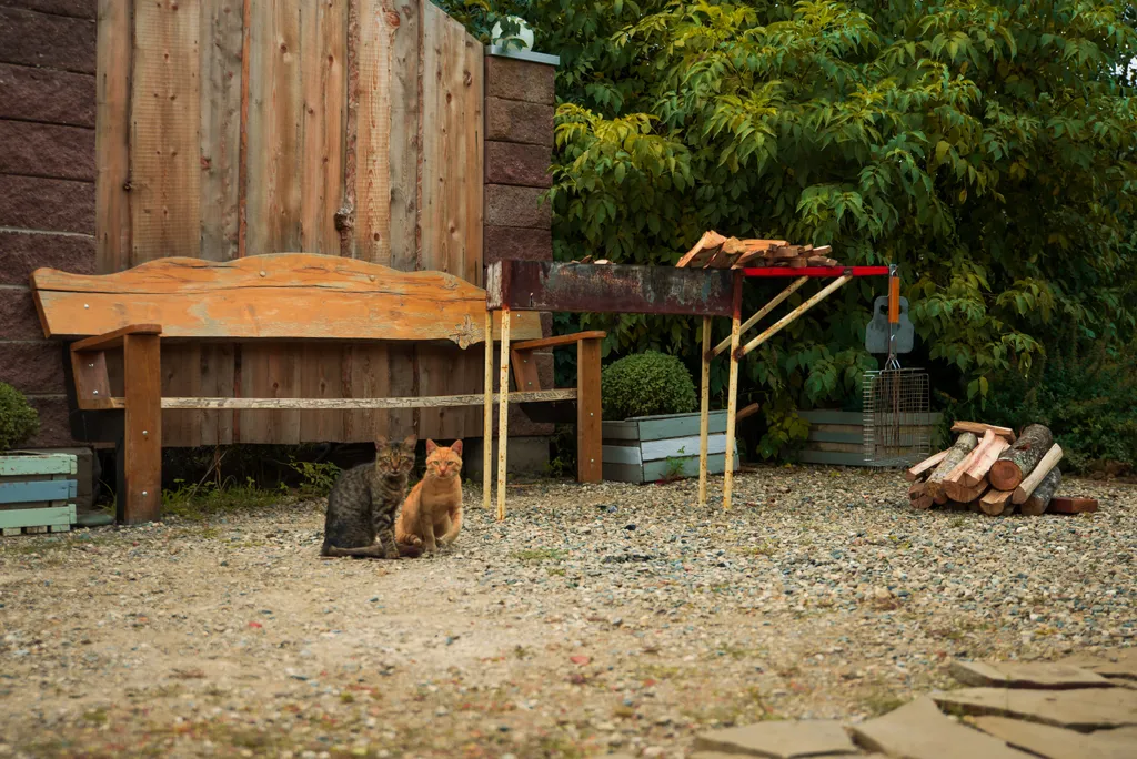 Гостевой дом с видом на сад и горы