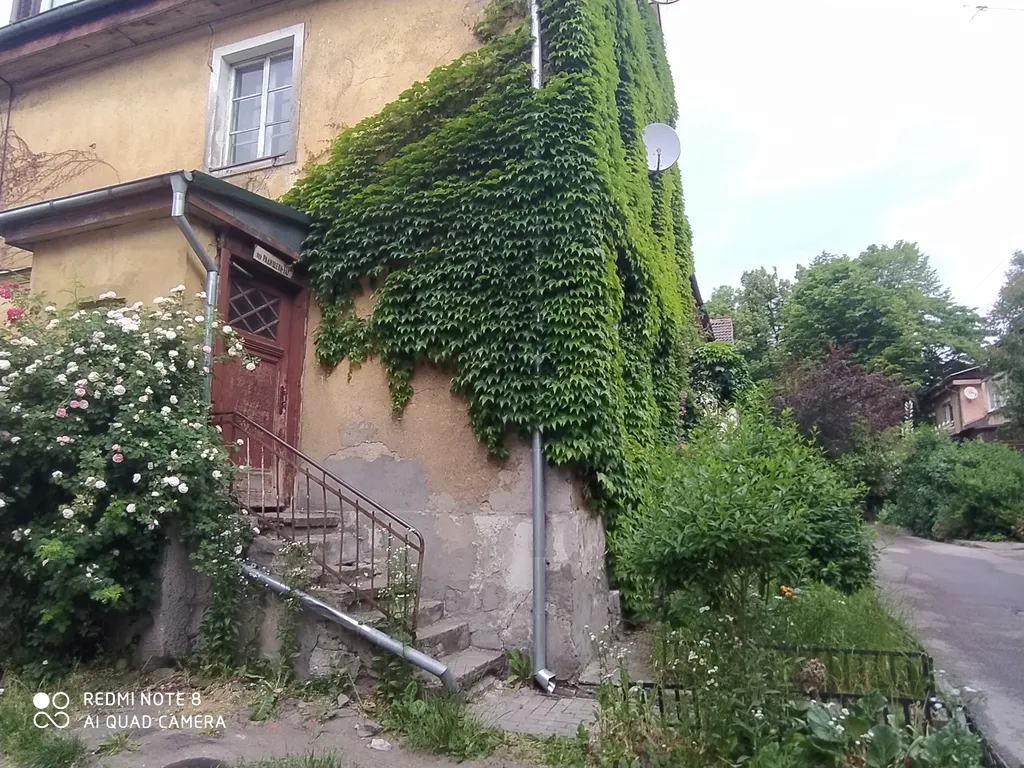 Прусский Кот  (в историческом районе Ratshof на границе с Amalienau)