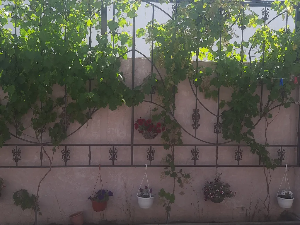 Квартира Комната — Евпатория