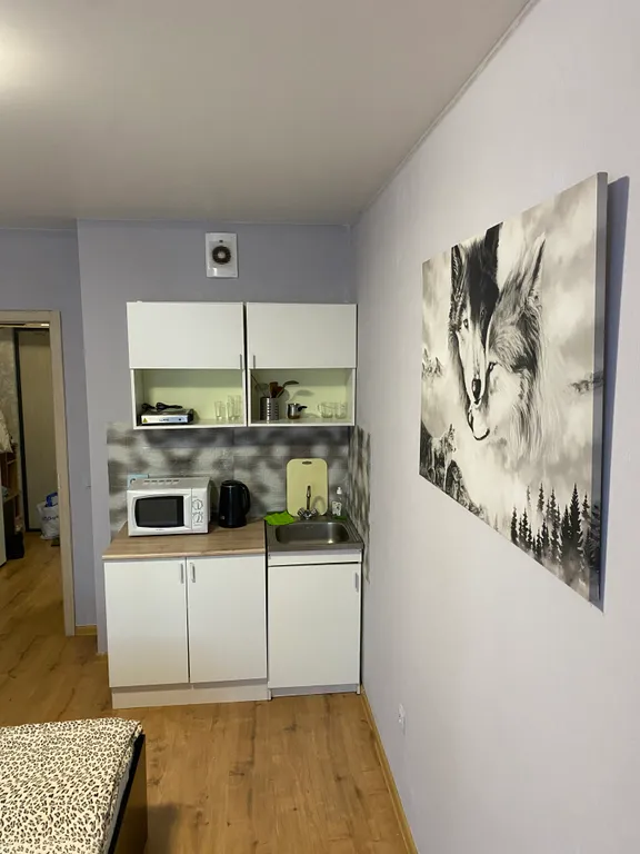 Квартира Квартира Видовая студия на Васильевском — Санкт-Петербург