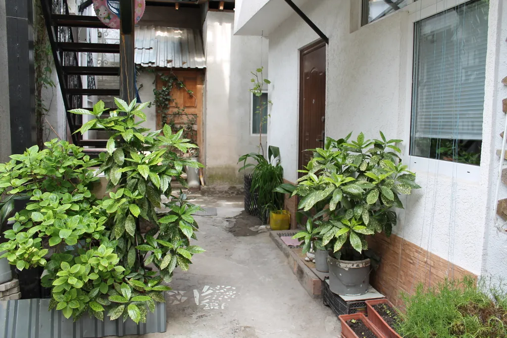 Коттедж Ялтинский дворик уютная 1к. Квартира рядом с приморским пляжем — Ялта