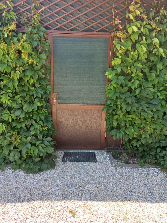 Комфорт и отдых