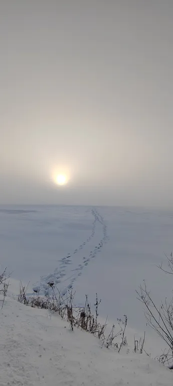 Домик у речки - мечта интроверта