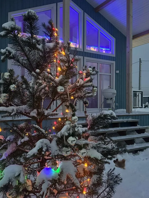 Солнечный дом с чил-зоной наверху