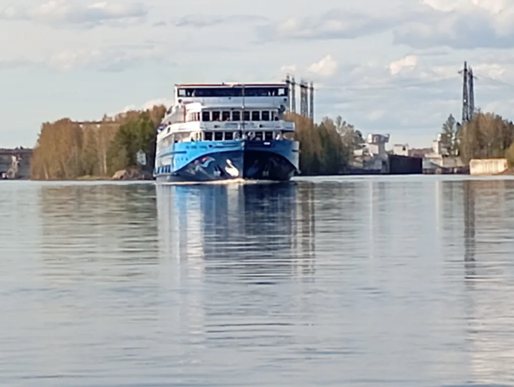 Коттедж Домик в лесу с баней — Лодейное Поле
