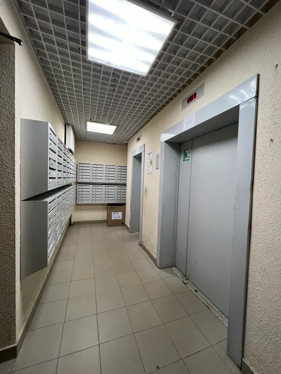 Уютная квартира рядом с лесом