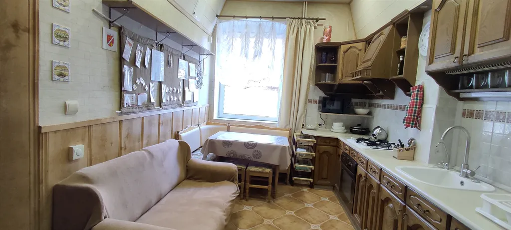 Приют Дризена