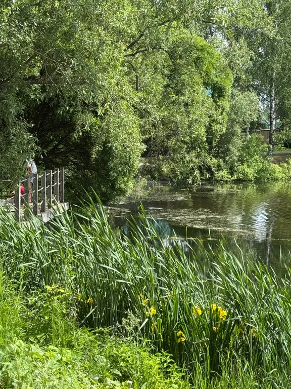 Квартира у пруда