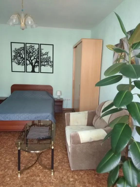 Большая 1-комнатная квартира от собственника