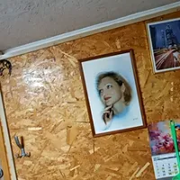Наталья Шипилова