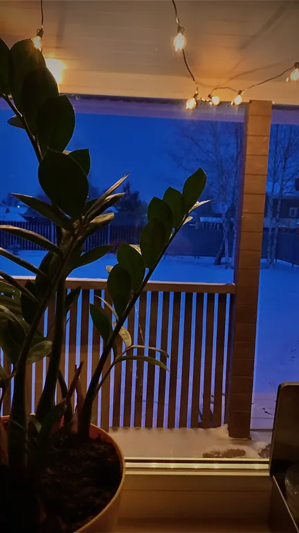 Устройте себе тихий отдых наедине с природой