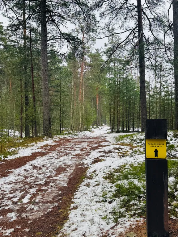 Коттедж Ладога Life 2 — Коккорево