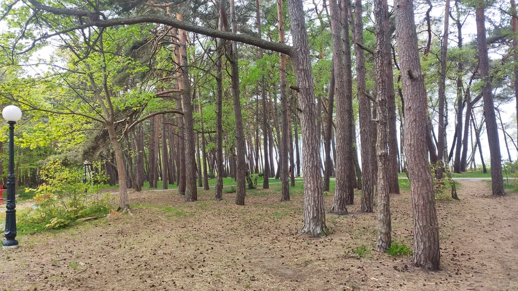 Квартира в городе Пионерском в 100 метрах от городского пляжа