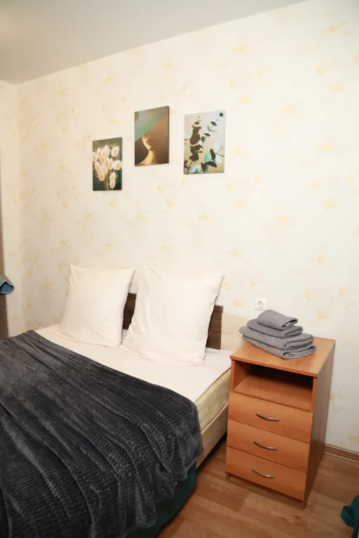 Просторная квартира в центре города