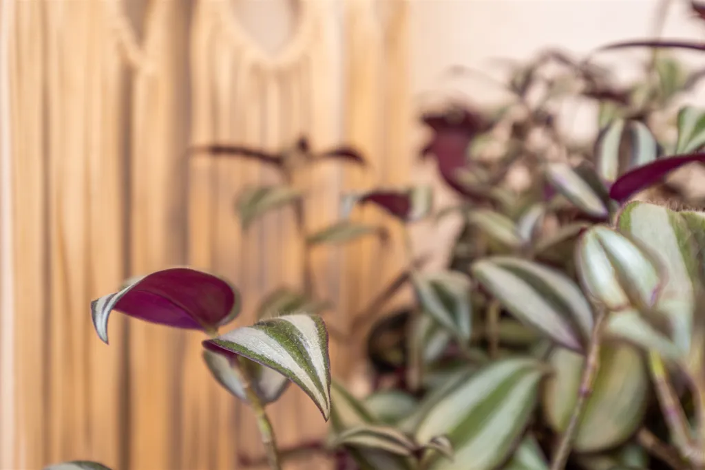 Уютное гнездышко в концептуальном районе