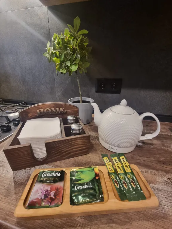 Апартаменты с прекрасным видом, рядом с аэропортом и жд вокзалом